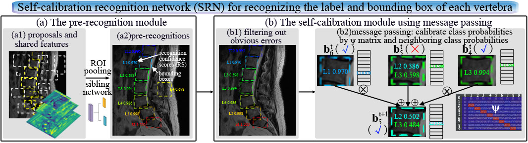 The self-calibration recognition network (SRN).