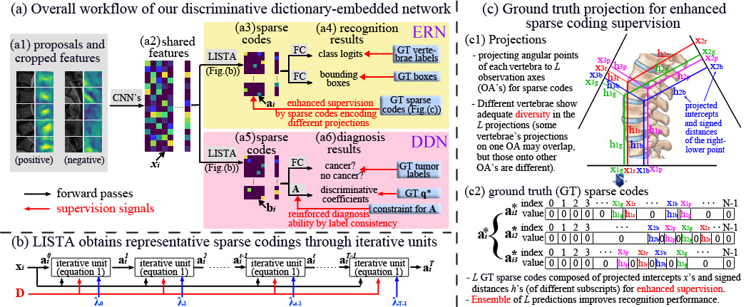Discriminative dictionary-embedded network (DECIDE) .